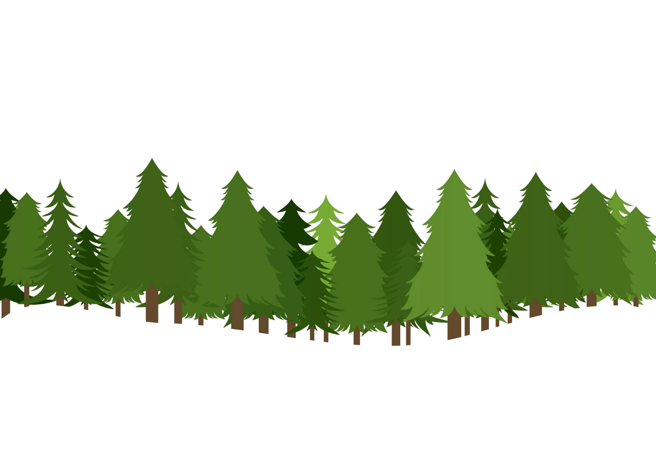 Forest-PNG-Transparent-Photo